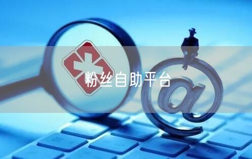 粉丝自助平台
