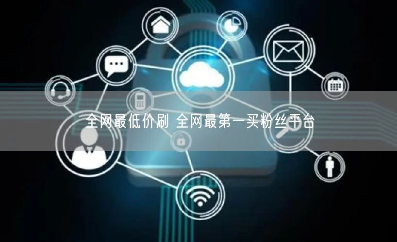 全网最低价刷 全网最第一买粉丝平台