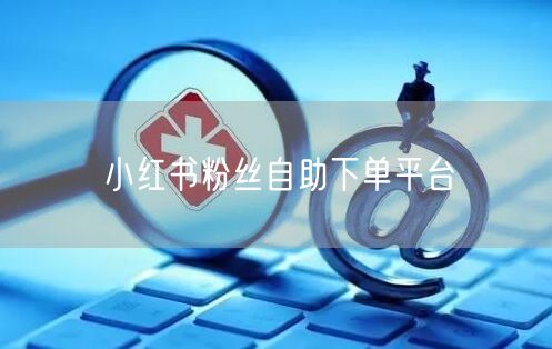 小红书粉丝自助下单平台