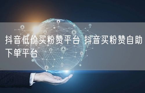 抖音低价买粉赞平台 抖音买粉赞自助下单平台