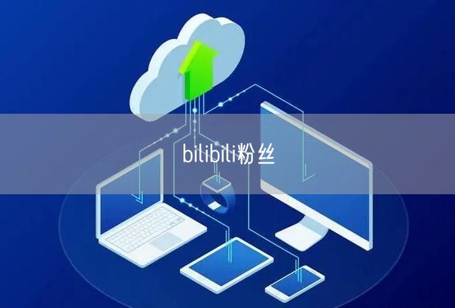 bilibili粉丝